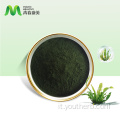 Polvere di spirulina biologica all'ingrosso